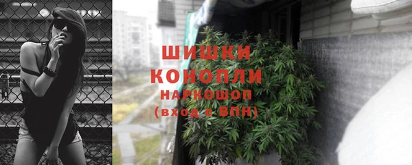 шишки Осташков