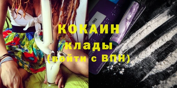 шишки Осташков