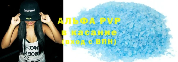 шишки Осташков