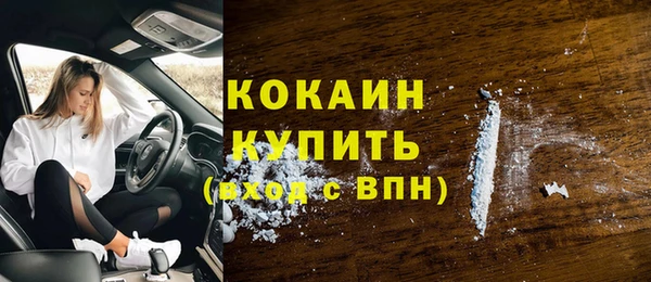 шишки Осташков