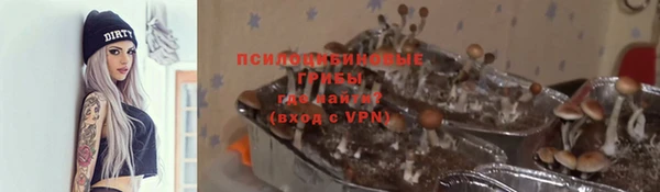 шишки Осташков