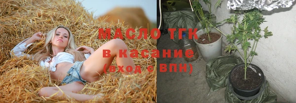 шишки Осташков