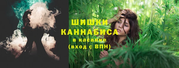 шишки Осташков